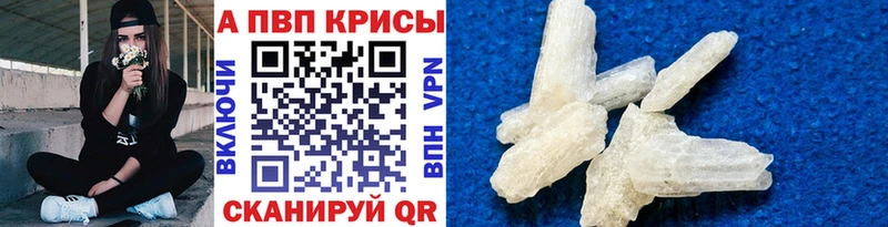 A PVP СК КРИС  Оха 