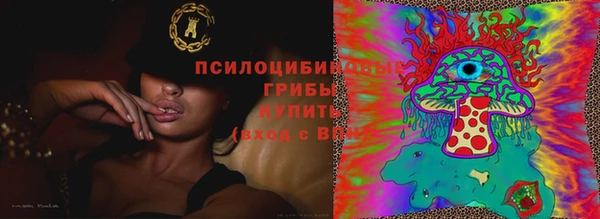 спайс Аркадак
